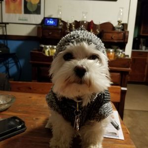 Meet your Posher, Kim